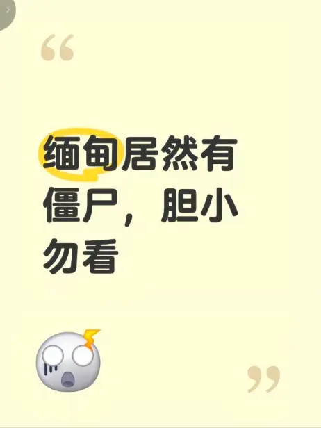 《缅甸僵尸出土事件》高清无删减视频在线播放 - 缅北神秘事件真相揭秘 完整版全程录像