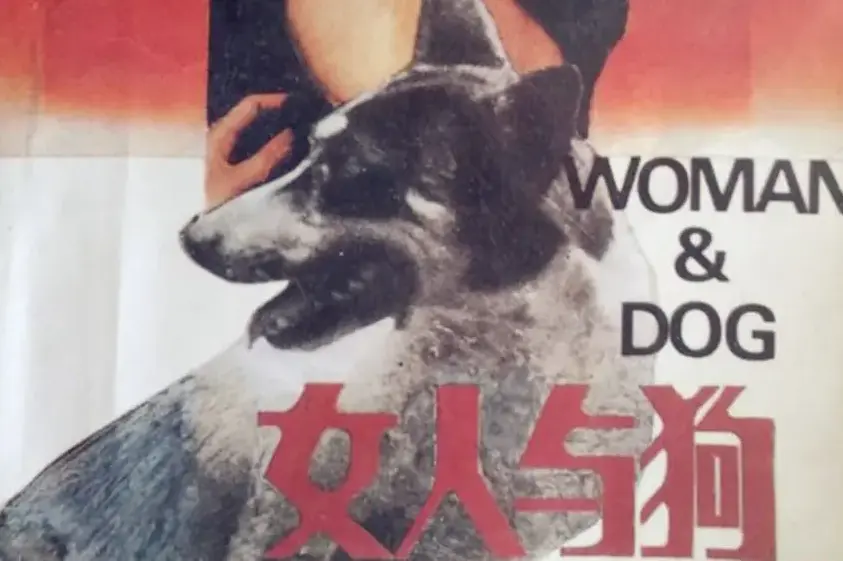 《女人与狗》HD高清免费播放-欧美电影《女人与狗》全集无删减在线看-1080P蓝光画质无缓冲