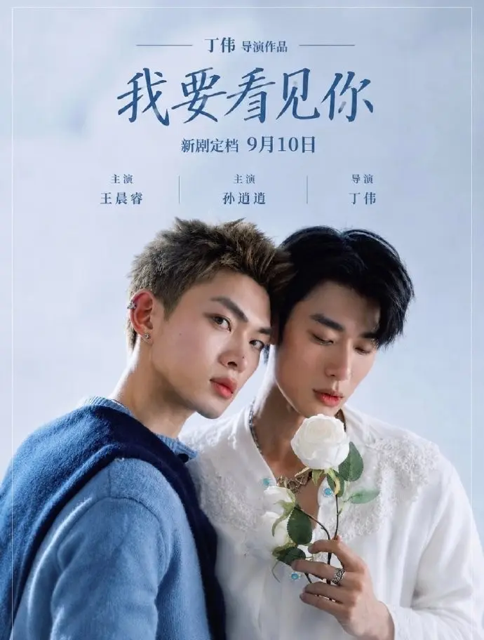 《我要看见你》2026台剧HD中字免费在线观看-我要看见你完整版高清播放-台湾双男主电视剧全季追剧-无广告全集资源