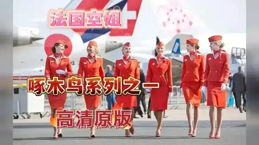 免费观看《法国空姐2019/不雅空乘》1080P无删减版-《法国空姐》高清完整电影国语中字-空乘不为人知的背后故事