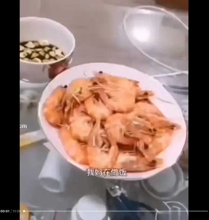 《大虾母子厨房完整版》高清视频免费在线观看-猎奇视频揭开梗的神秘面纱-来龙去脉一看就明白