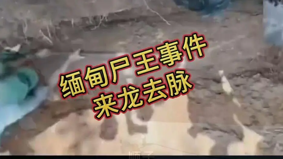 《缅甸僵尸出土事件视频》完整版资源下载-缅北僵尸出土事件始末原视频高清未删减-全程录像在线观看免费播放