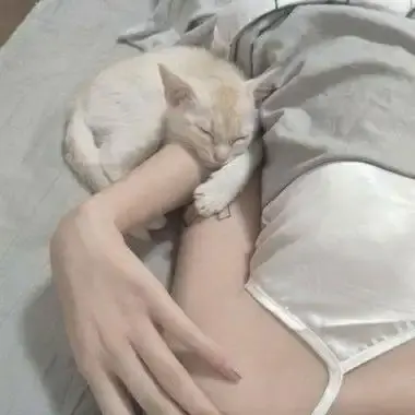 昆廷夫妇全集未删减中文版1080P高清画质修复版全系列剧情 - 网盘在线观看无广告资源放送 - 《昆廷夫夫合集》比各大平台更全