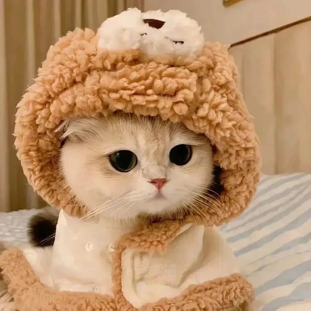 佳木斯新玛特迪桑特女销售导购事件视频资源下载-完整现场在线观看免费播放-后续结果太离谱看完破防